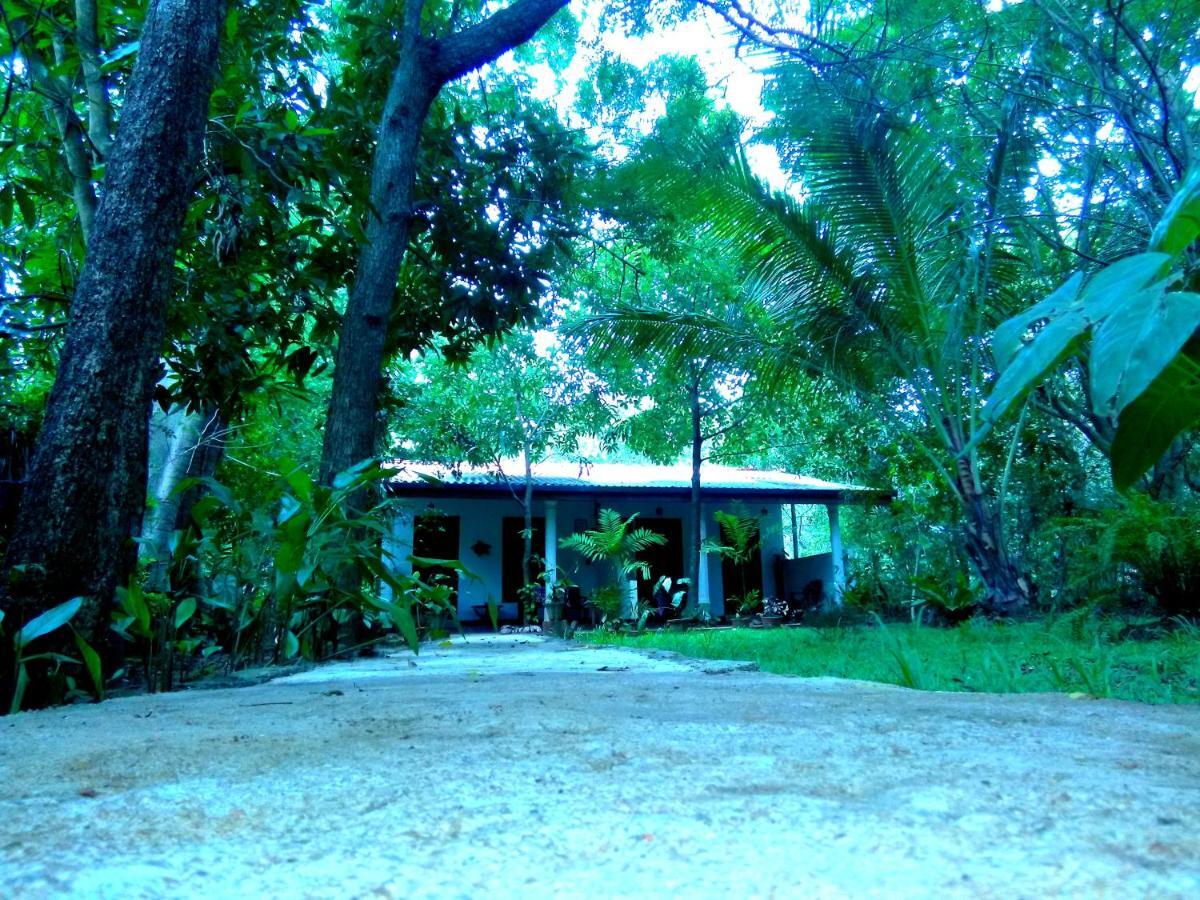 Sigiri Mango Garden Eco Resort Сигирия Экстерьер фото